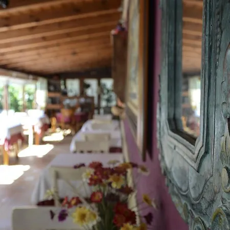 Hotel Viñas *