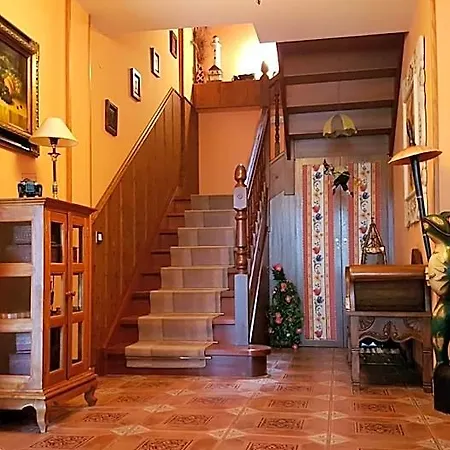 Vinas Noja