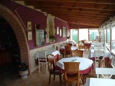 Vinas Noja